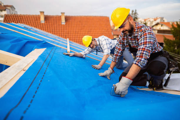 Best Roof Ventilation Installation  in Hudson, IL