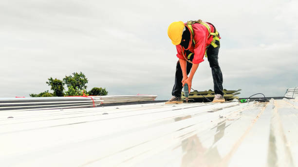 Best Skylight Installation and Repair  in Hudson, IL